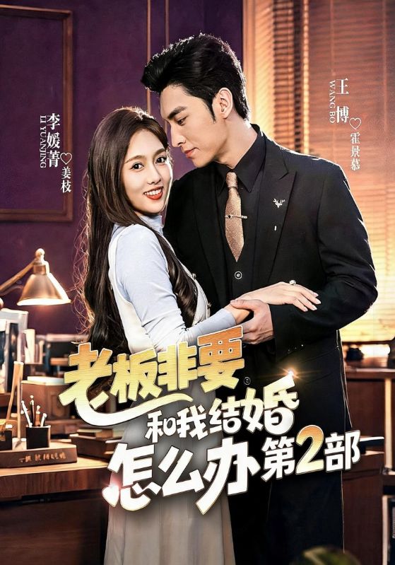 老板非要和我结婚怎么办第2部