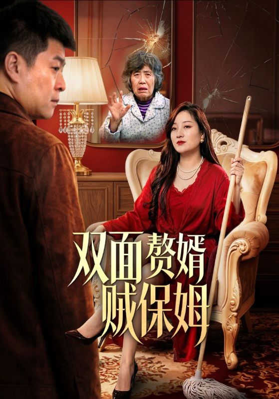 双面赘婿贼保姆
