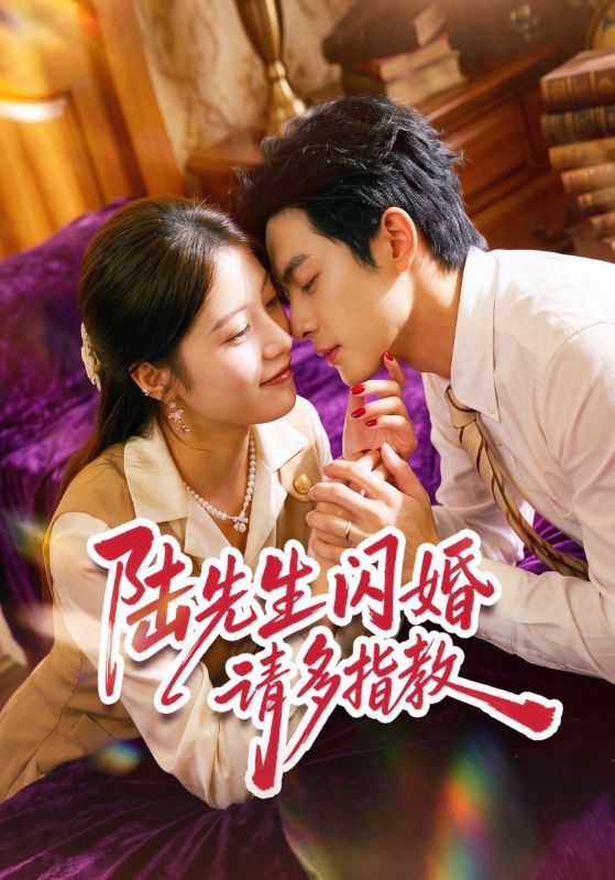 陆先生闪婚请多指教