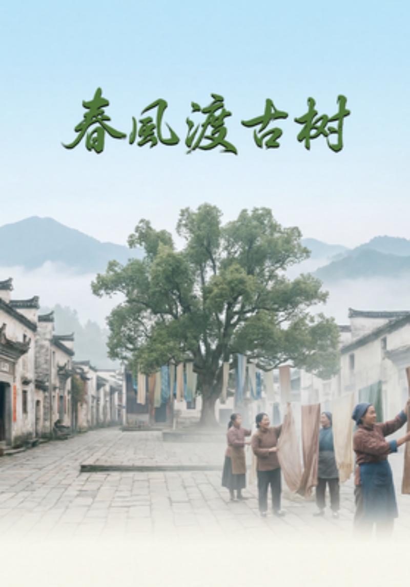 春风渡古树