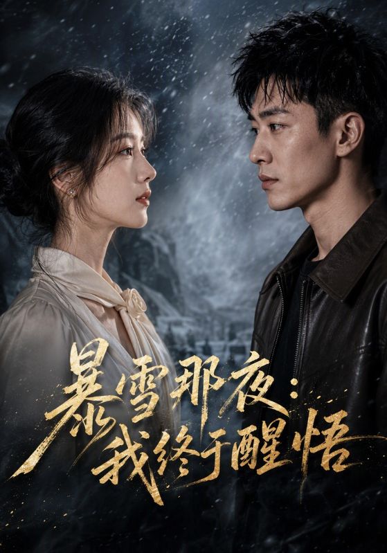 暴雪那夜:我终于醒悟