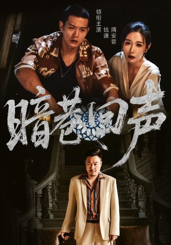 暗巷回声