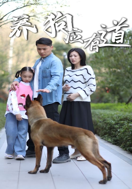 养狗应有道