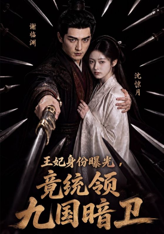 王妃身份曝光，竟统领九国暗卫
